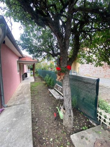Apartman Milica Požarevac Exteriör bild